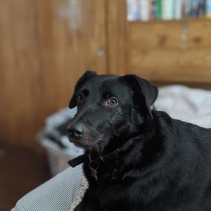 Meet your Posher, Luka